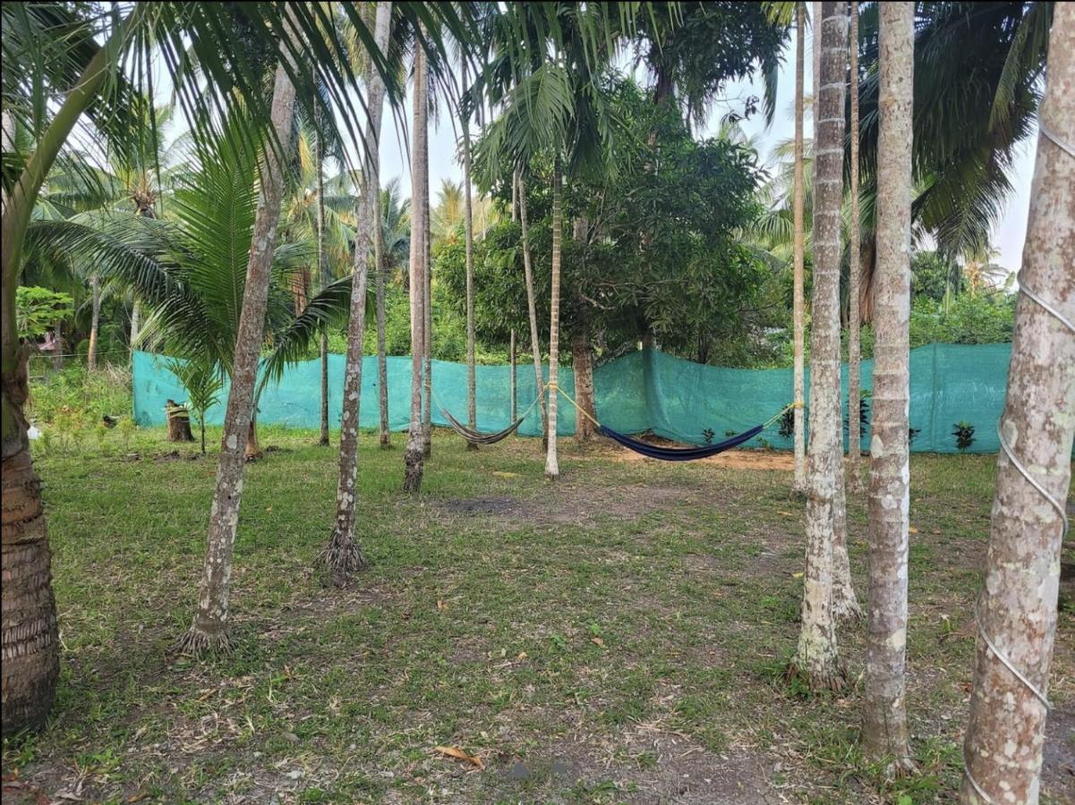 Blue Lagoon Resort, Neil Island Sitapur 외부 사진